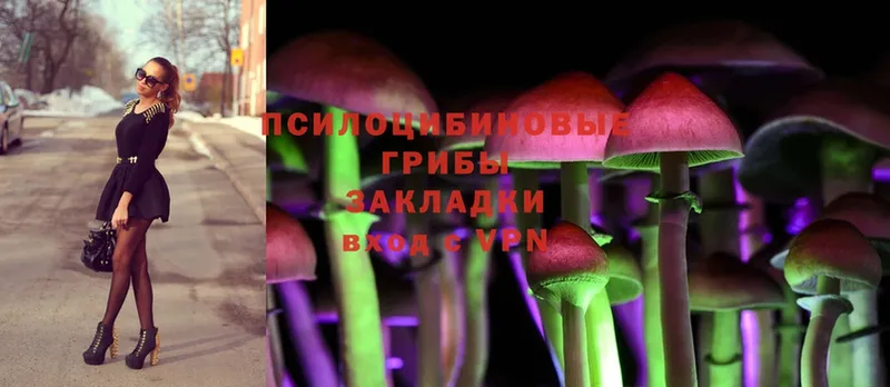 купить наркотики сайты  Невельск  Галлюциногенные грибы Cubensis 